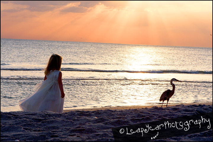 Captiva Childrens Photographer
