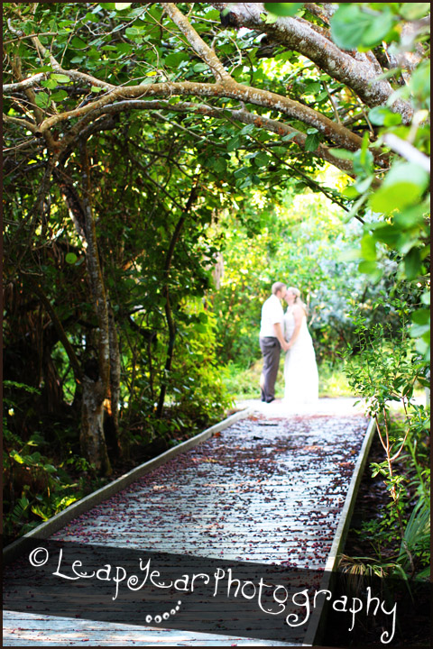 Sanibel-Weddings Sanibel-Weddings
