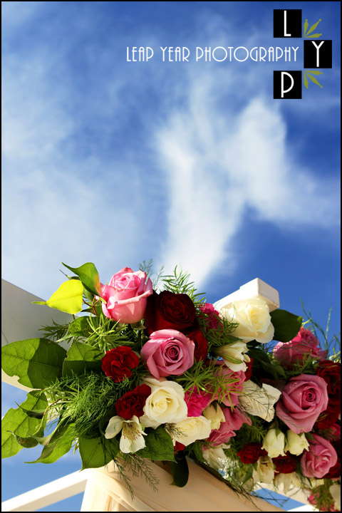 South Florida Wedding details